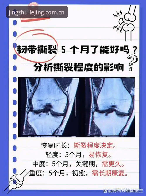 施洛特贝克韧带撕裂事件深度解读教程：从伤停8周看世界杯阵容配置逻辑